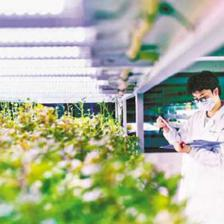 智慧农业重庆怎么做？生产管理只需指尖一点，农业技术的研究这样落地