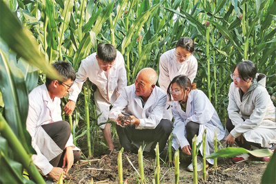 四平全力推进“梨树模式”提档升级 农业技术的新篇章