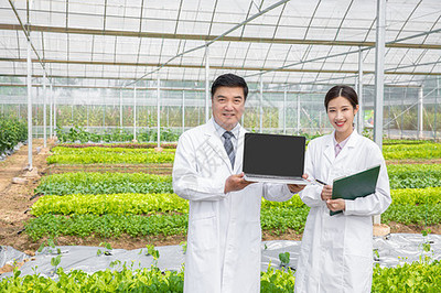 大棚中的双手 守护绿色希望的科学家
