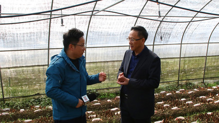 贵州省农科院 科技赋能山地农业的科研先锋