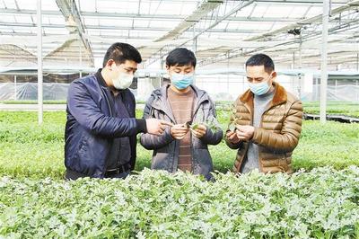 农业技术研究 驱动现代耕作的视觉革命