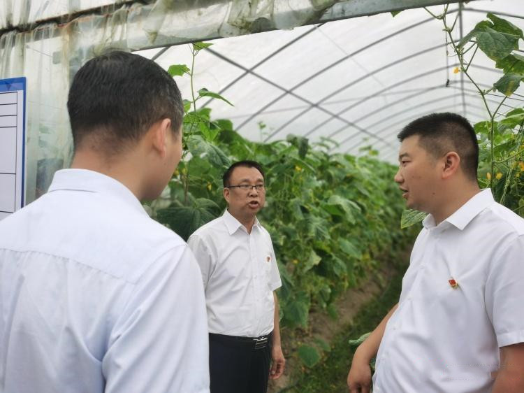 攸县 博士工作站扎根农场，科技为乡村振兴注入强劲动力——农业技术研究成果速览