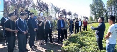 技术支撑有力:昌图花生超高产试验田亩产均超千斤